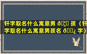 钎字取名什么寓意男 🦊 孩（钎字取名什么寓意男孩名 🌿 字）